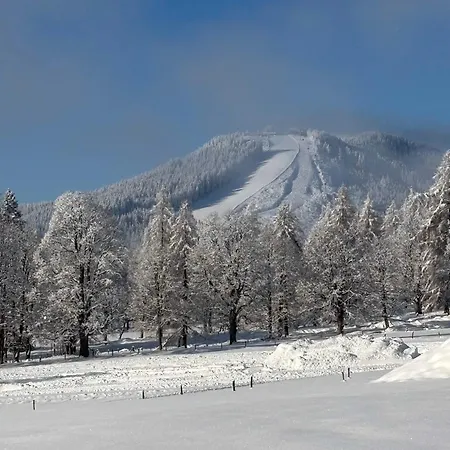 Knollhaeusl * Ramsau am Dachstein