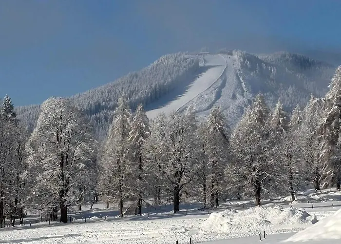 Knollhaeusl * Ramsau am Dachstein